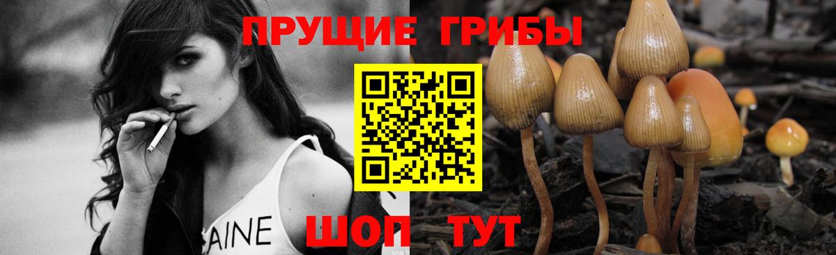 Псков  Галлюциногенные грибы MAGIC MUSHROOMS  Галлюциногенные грибы мицелий  Вход с VPN 